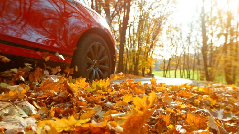 Fall Commutes Bring More Fender Benders: What Bay Area Drivers Should Do Next